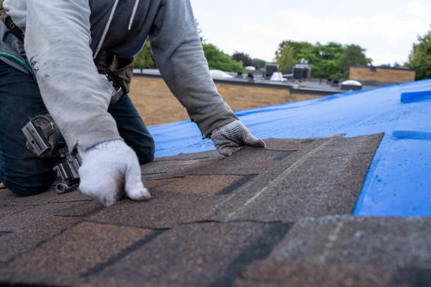 Best Commercial Roof Installation  in Lake Nacimiento, CA