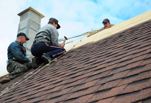 Best Metal Roofing Contractor  in Lake Nacimiento, CA